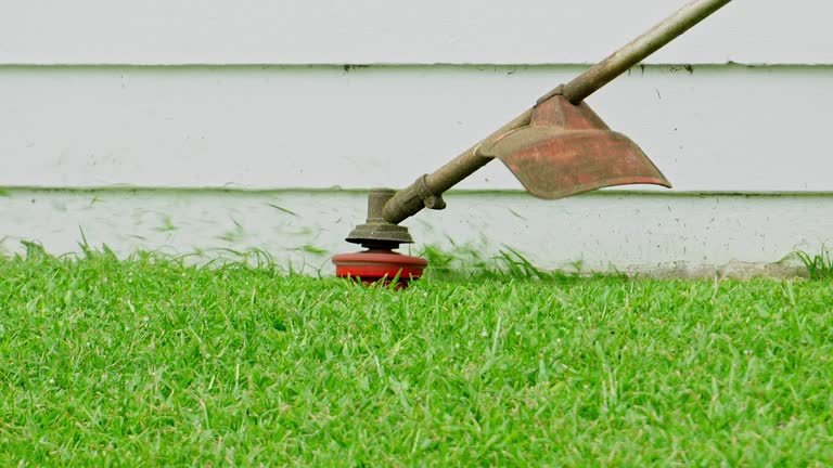 Best Lawn Disease Treatment  in Tiltonsville, OH